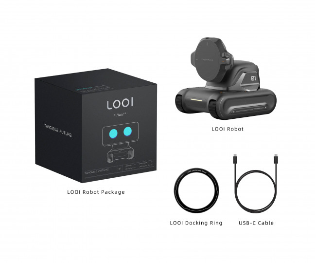 Розумний робот LOOI Robot - Space Black with ChatGPT Voice